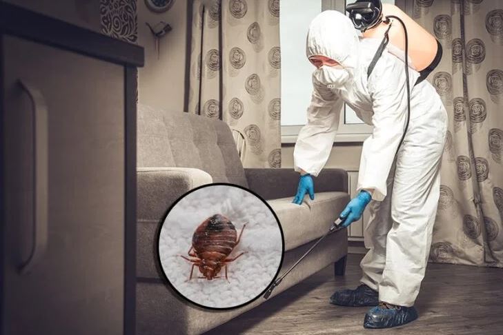 1 BHK - Bed Bud | 60 mins